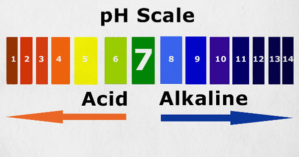 thang-do-ph-kiem-la-gi