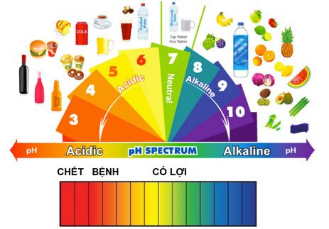 thuc-pham-co-tinh-kiem