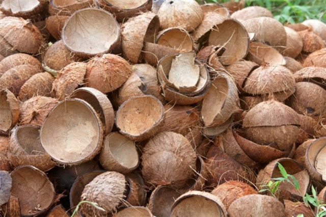 Gáo dừa là nguyên liệu tối ưu nhất dùng để sản xuất tht