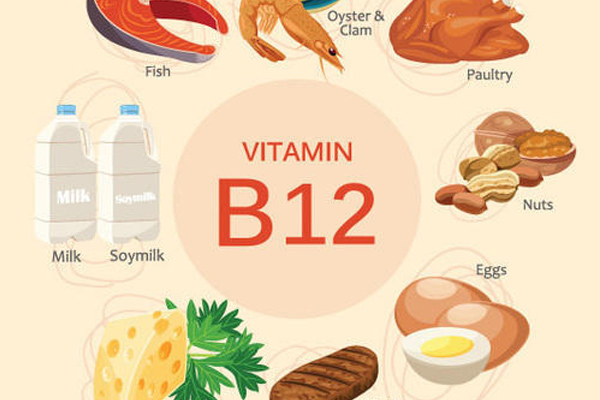 B12 có tác dụng gì được bổ sung thế nào hiệu quả qua thực phẩm